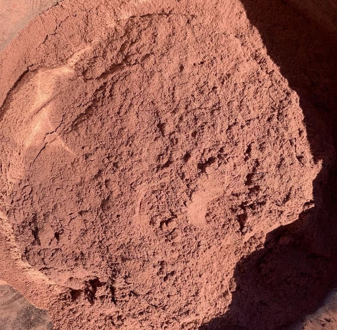 Powdered Mimosa Hostils root